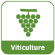 la viticulture