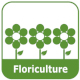 Floriculture