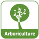 Arboriculture