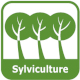 Sylviculture